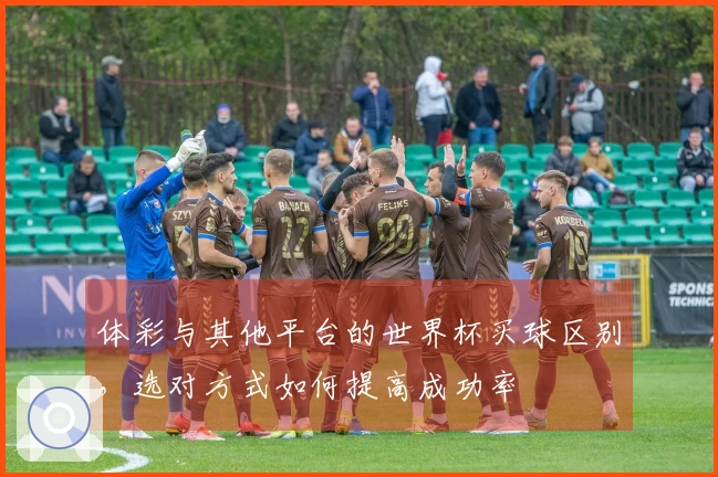 体彩与其他平台的世界杯买球区别，选对方式如何提高成功率