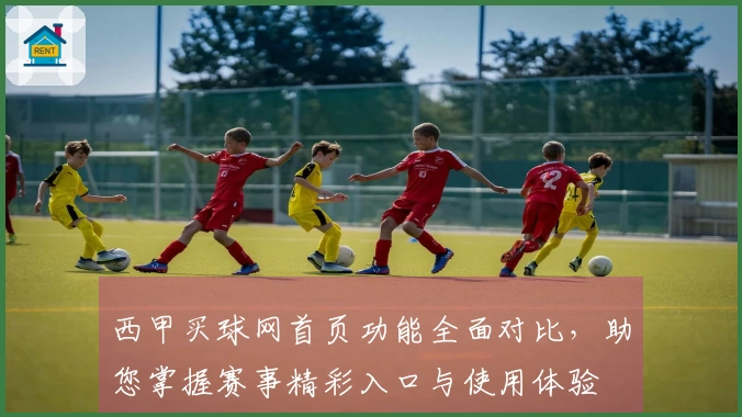 西甲买球网首页功能全面对比，助您掌握赛事精彩入口与使用体验