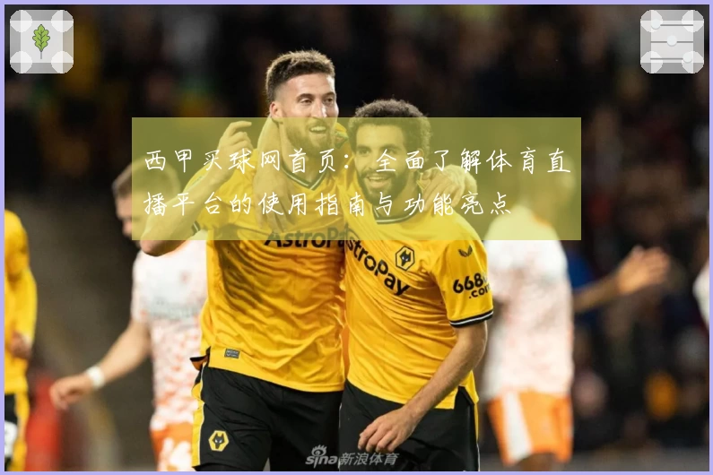 西甲买球网首页：全面了解体育直播平台的使用指南与功能亮点