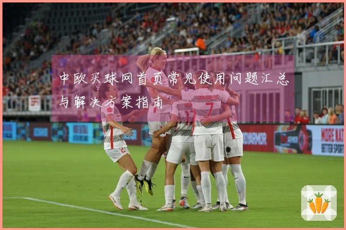 中欧买球网首页常见使用问题汇总与解决方案指南