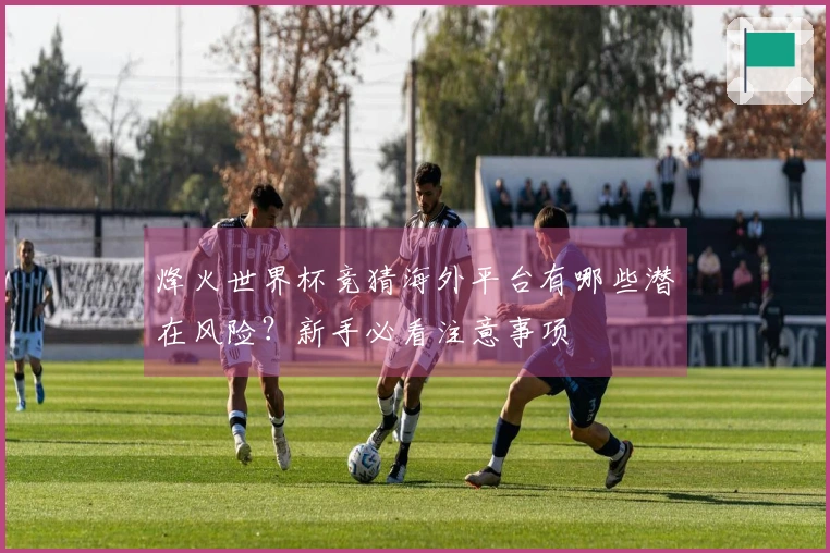 烽火世界杯竞猜海外平台有哪些潜在风险？新手必看注意事项