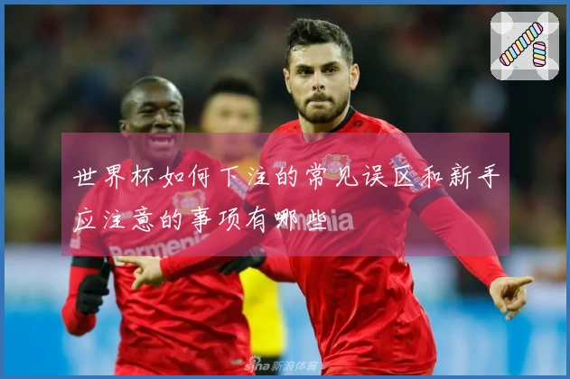 世界杯如何下注的常见误区和新手应注意的事项有哪些