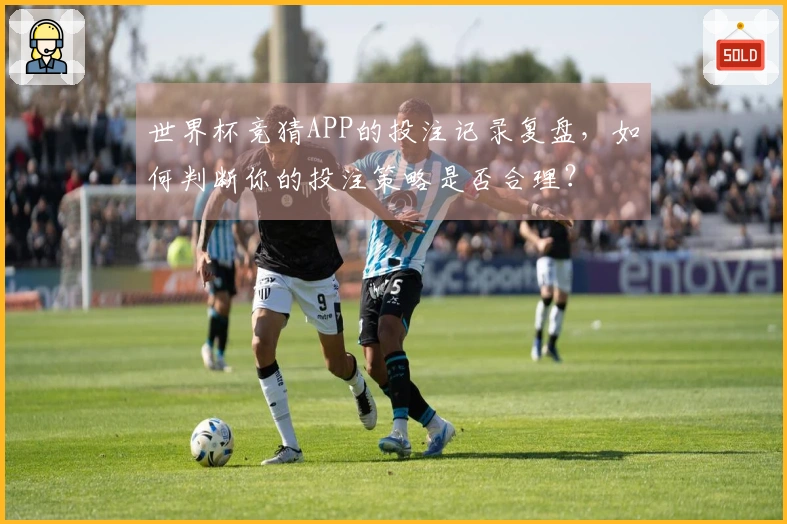 世界杯竞猜APP的投注记录复盘，如何判断你的投注策略是否合理？