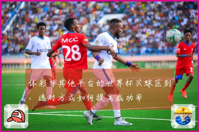 体彩与其他平台的世界杯买球区别，选对方式如何提高成功率