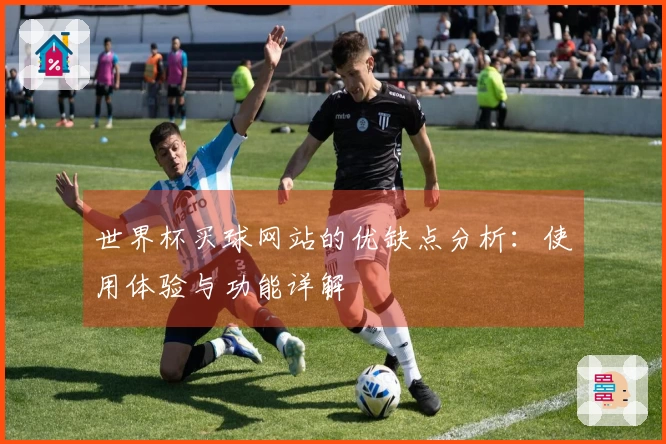 世界杯买球网站的优缺点分析：使用体验与功能详解