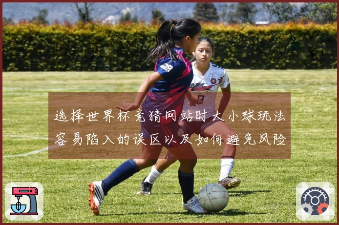 选择世界杯竞猜网站时大小球玩法容易陷入的误区以及如何避免风险