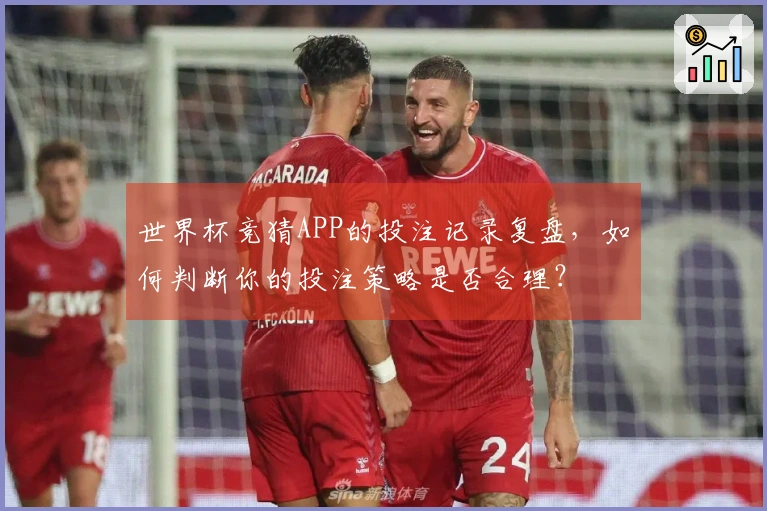 世界杯竞猜APP的投注记录复盘，如何判断你的投注策略是否合理？