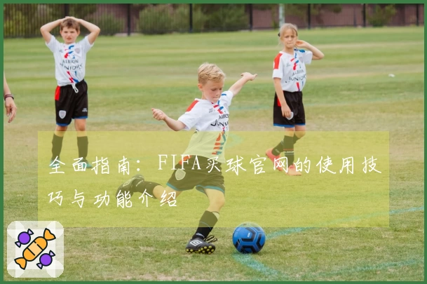 全面指南：FIFA买球官网的使用技巧与功能介绍