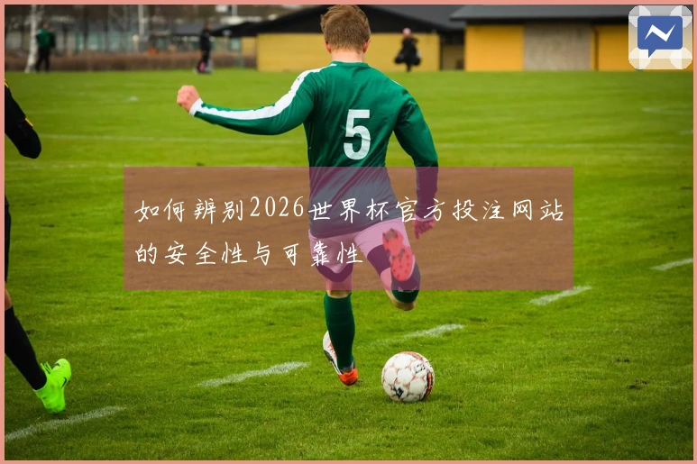 如何辨别2026世界杯官方投注网站的安全性与可靠性